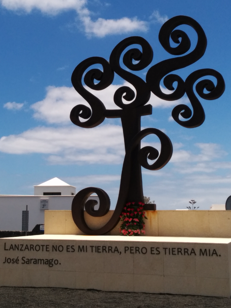 Olivo del jardín de la Casa Saramago en Tías, Lanzarote